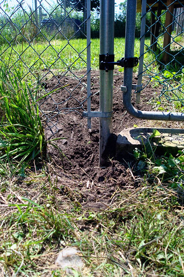 Hole dug under the fence