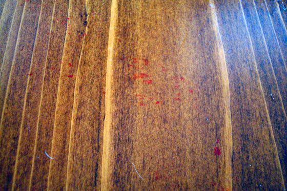 Red dye on wood counter