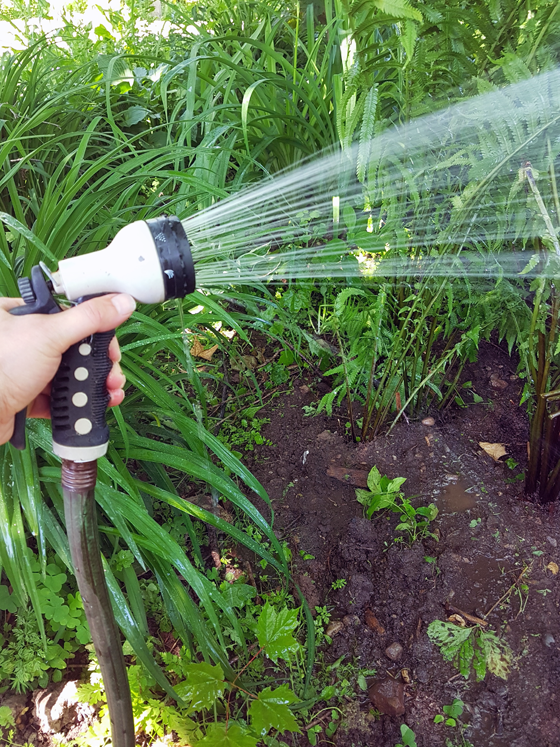 Spraying hose nozzle