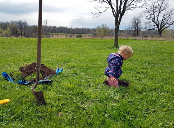 Planting a tree for Mother's Day